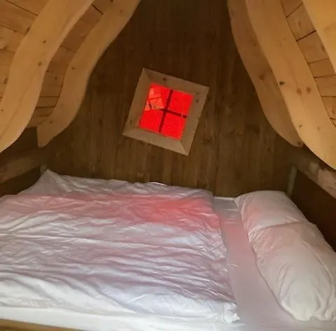 Camping Resort Ruelzheim キャンプ場 Rülzheim